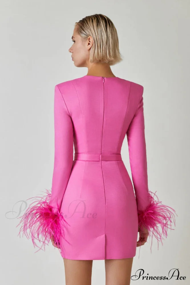 Feather Long Stylish Sleeve Bustier Dress