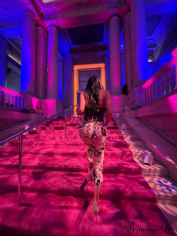 Shayna Elegant Silk Dress 16 Days / 0 Xs Brown